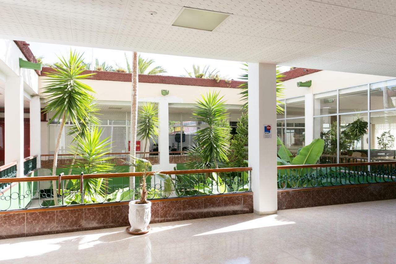Enchanting El Dorado Accommodation, Sea View! Playa de las Américas Exterior foto